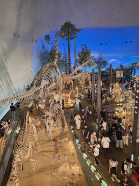 福井県立恐竜博物館に投稿された画像（2024/8/15）