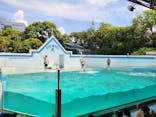 しながわ水族館に投稿された画像（2024/8/16）