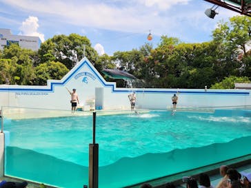 しながわ水族館に投稿された画像（2024/8/15）