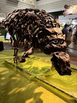 巨大恐竜展2024に投稿された画像（2024/8/16）