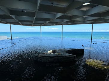 上越市立水族博物館 うみがたりに投稿された画像（2024/8/16）