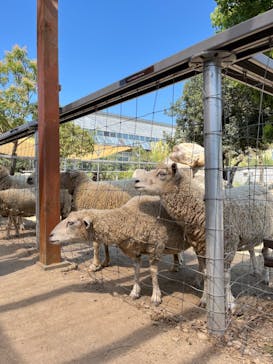 神戸どうぶつ王国に投稿された画像（2024/8/16）