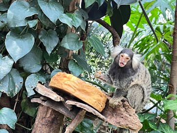 神戸どうぶつ王国に投稿された画像（2024/8/16）