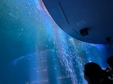名古屋港水族館に投稿された画像（2024/8/16）