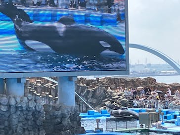 名古屋港水族館に投稿された画像（2024/8/16）