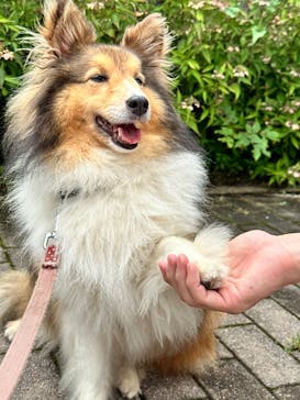 那須どうぶつ王国に投稿された画像（2024/8/16）