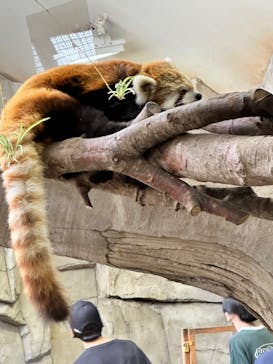 那須どうぶつ王国に投稿された画像（2024/8/16）