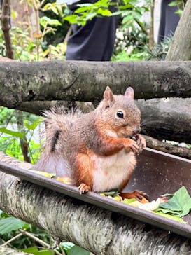 那須どうぶつ王国に投稿された画像（2024/8/16）