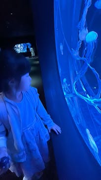 AOAO SAPPOROに投稿された画像（2024/8/16）