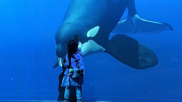 AOAO SAPPOROに投稿された画像（2024/8/16）