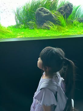 AOAO SAPPOROに投稿された画像（2024/8/16）