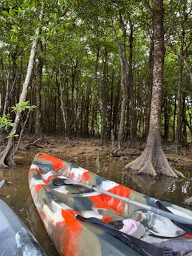 石垣島カヌーツアー池間に投稿された画像（2024/8/16）