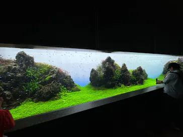 すみだ水族館に投稿された画像（2024/8/16）