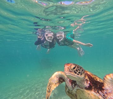 nico 宮古島に投稿された画像（2024/8/16）