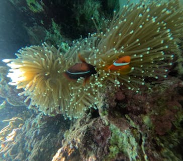 nico 宮古島に投稿された画像（2024/8/16）