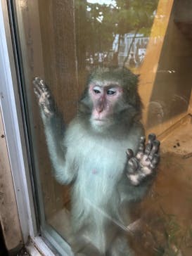 恩賜上野動物園に投稿された画像（2024/8/16）