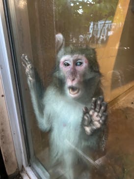 恩賜上野動物園に投稿された画像（2024/8/16）