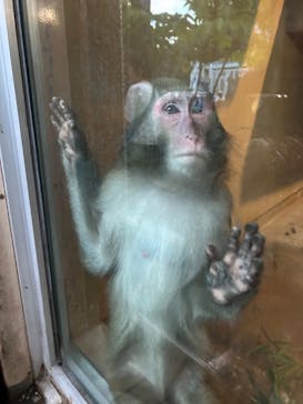 恩賜上野動物園に投稿された画像（2024/8/16）