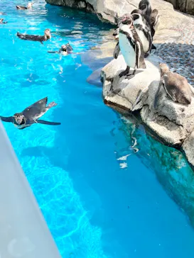 仙台うみの杜水族館に投稿された画像（2024/8/16）