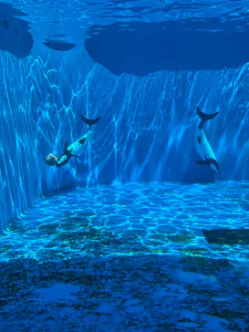 仙台うみの杜水族館に投稿された画像（2024/8/16）