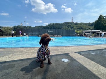 わんダフルネイチャーヴィレッジに投稿された画像（2024/8/16）