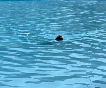 わんダフルネイチャーヴィレッジに投稿された画像（2024/8/16）