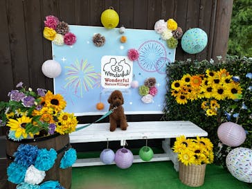 わんダフルネイチャーヴィレッジに投稿された画像（2024/8/16）