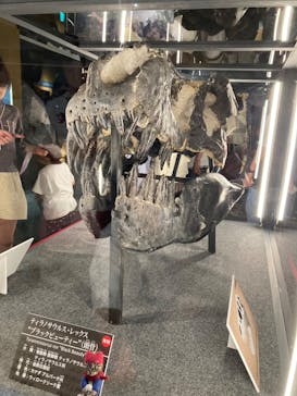 福井県立恐竜博物館に投稿された画像（2024/8/16）