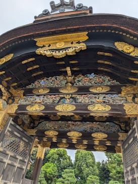 元離宮二条城に投稿された画像（2024/8/16）