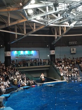 マクセル アクアパーク品川に投稿された画像（2024/8/16）