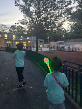 多摩動物公園に投稿された画像（2024/8/16）