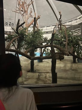 多摩動物公園に投稿された画像（2024/8/16）