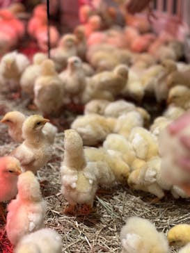 アニタッチららぽーと名古屋みなとアクルスに投稿された画像（2024/8/16）