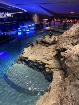 すみだ水族館に投稿された画像（2024/8/16）