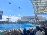 名古屋港水族館に投稿された画像（2024/8/16）