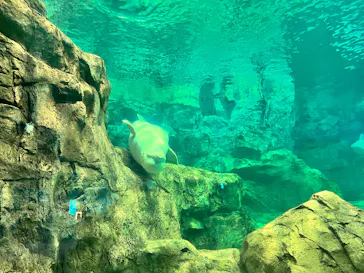 名古屋港水族館に投稿された画像（2024/8/16）