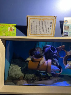 竹島水族館に投稿された画像（2024/8/16）