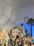 福井県立恐竜博物館に投稿された画像（2024/8/16）