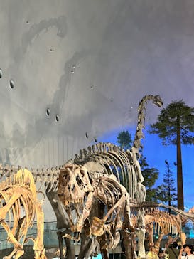 福井県立恐竜博物館に投稿された画像（2024/8/16）