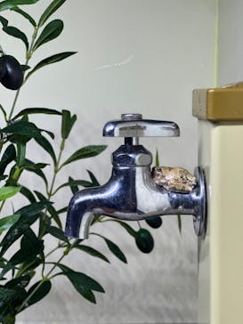 大分マリーンパレス水族館 「うみたまご」に投稿された画像（2024/8/16）