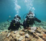 沖縄マリンサービス碧に投稿された画像（2024/8/16）