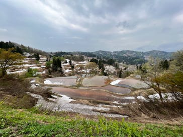 大地の芸術祭 実行委員会に投稿された画像（2024/8/16）