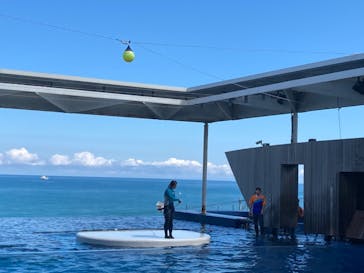 上越市立水族博物館 うみがたりに投稿された画像（2024/8/16）