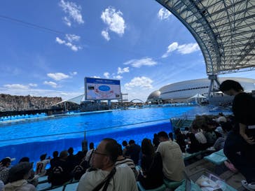 名古屋港水族館に投稿された画像（2024/8/16）