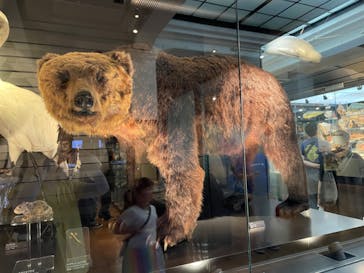 国立科学博物館に投稿された画像（2024/8/16）