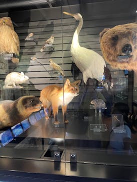 国立科学博物館に投稿された画像（2024/8/16）