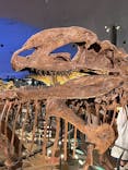 福井県立恐竜博物館に投稿された画像（2024/8/16）