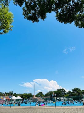 海の中道サンシャインプールに投稿された画像（2024/8/16）