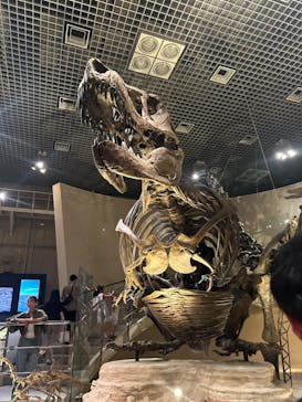 国立科学博物館に投稿された画像（2024/8/16）