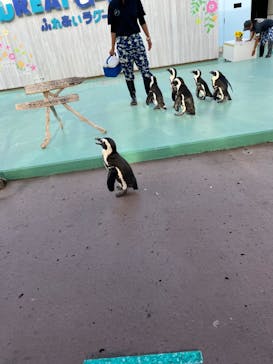 横浜・八景島シーパラダイスに投稿された画像（2024/8/16）